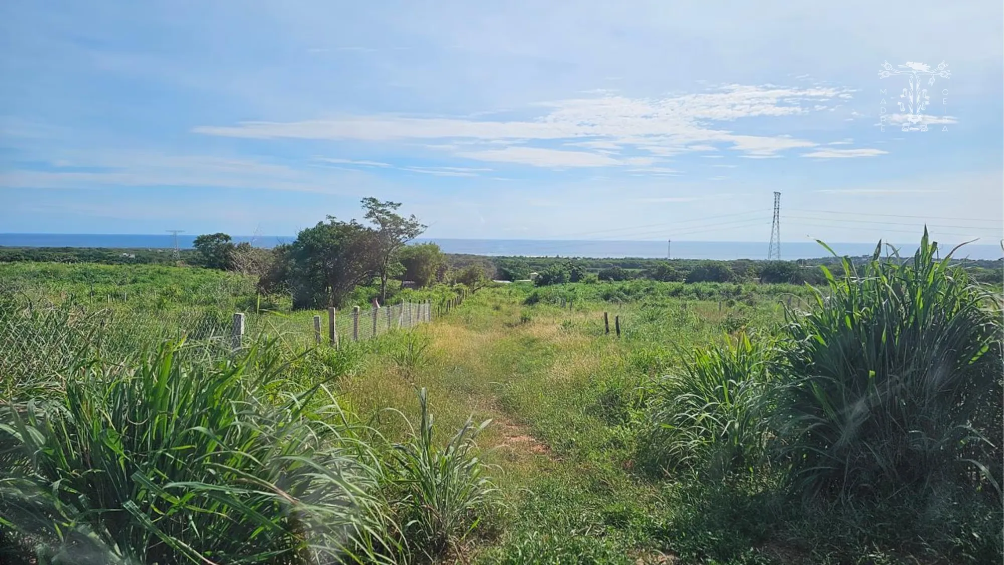 Terreno Barra de Navidad