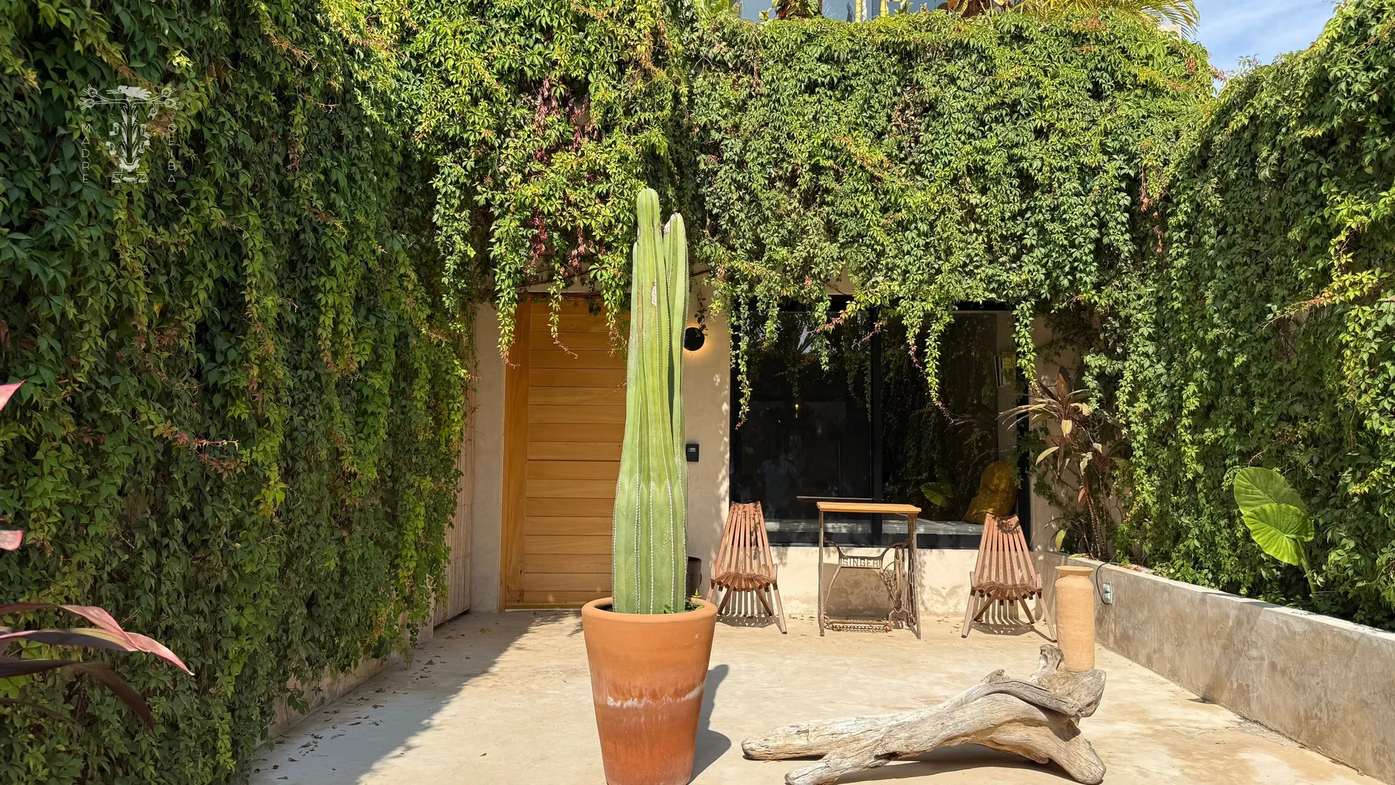 Casa México